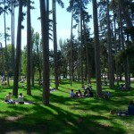 Bois de Boulogne Park