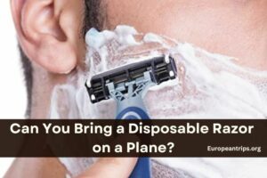 Can You Bring a Disposable Razor on a Plane